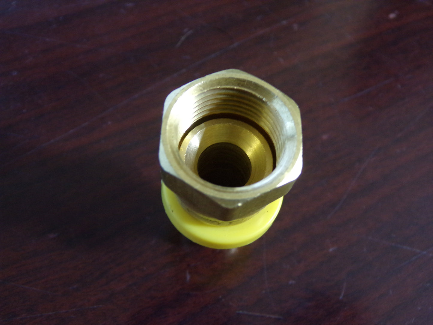 CONTINENTAL Brass Push-On Hose Fitting, 1/2 in x 1/2 in, Female Swivel (CR00578-WTA14)